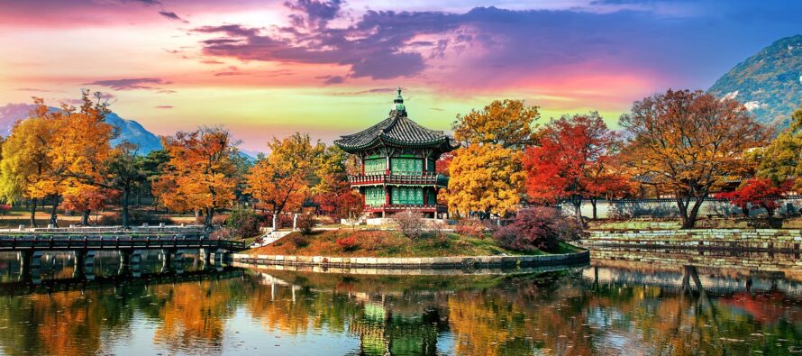 Catching the next Korean wave
